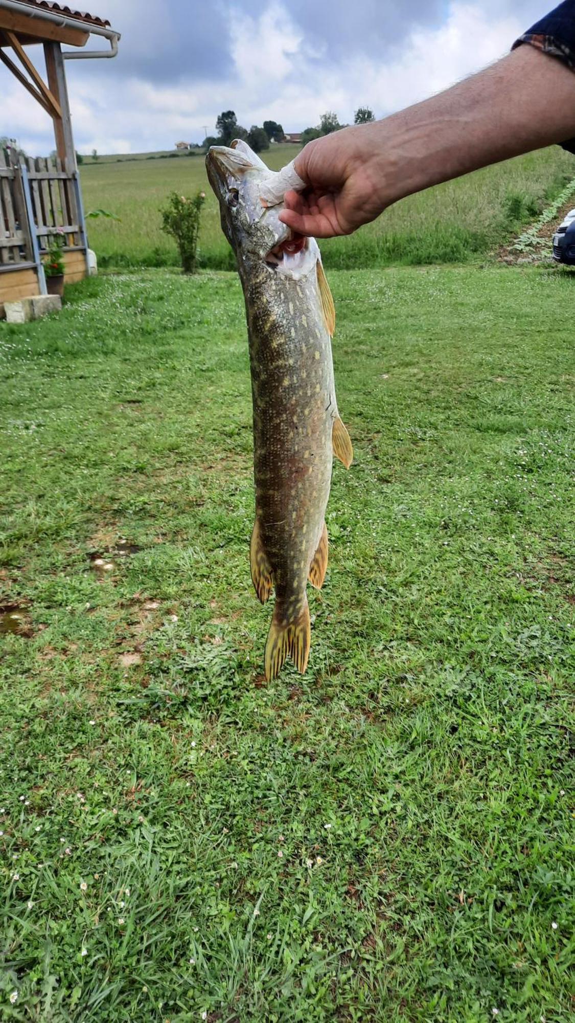 Etang Pre De La Font Hotel Cercles Eksteriør billede